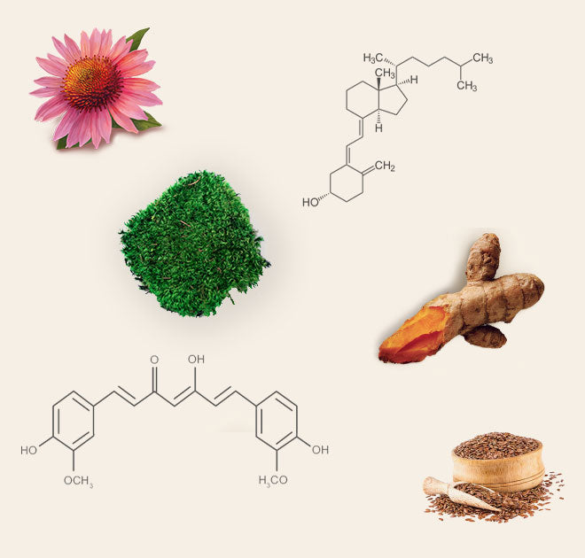 supplements to boost immune system