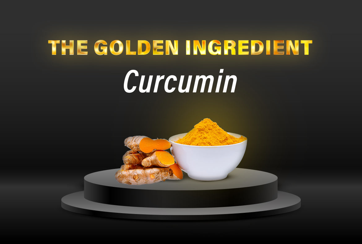 Best Curcumin Supplement